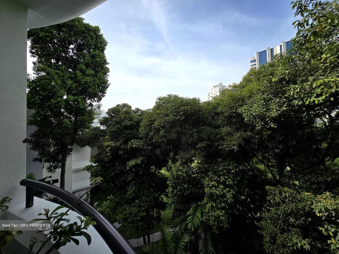 Regency Park (D10), Condominium #502705701